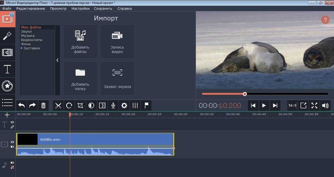Простой видеоредактор на русском. Movavi видеоредактор плюс. Интерфейс программы видеоредактор. Movavi Video Editor Интерфейс. Видеоредактор с шаблонами.