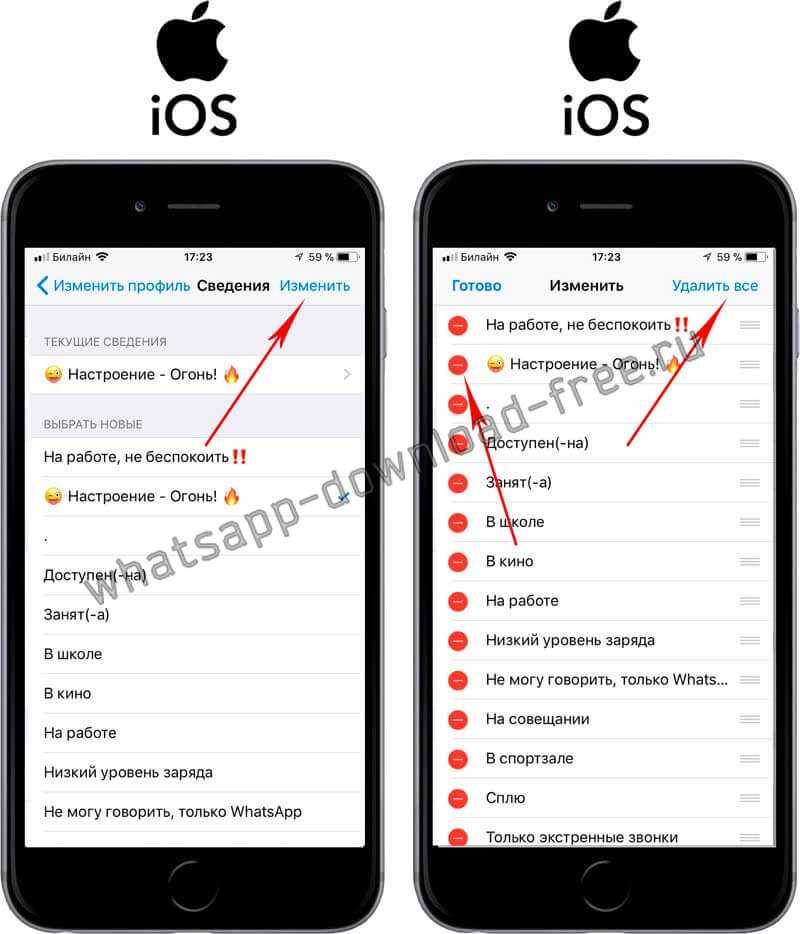 Как убрать статус на айфоне. Статус в ватсап на айфоне. Сведения в ватсапе. Как убрать статус в ватсапе на айфоне. Статус про айфон.