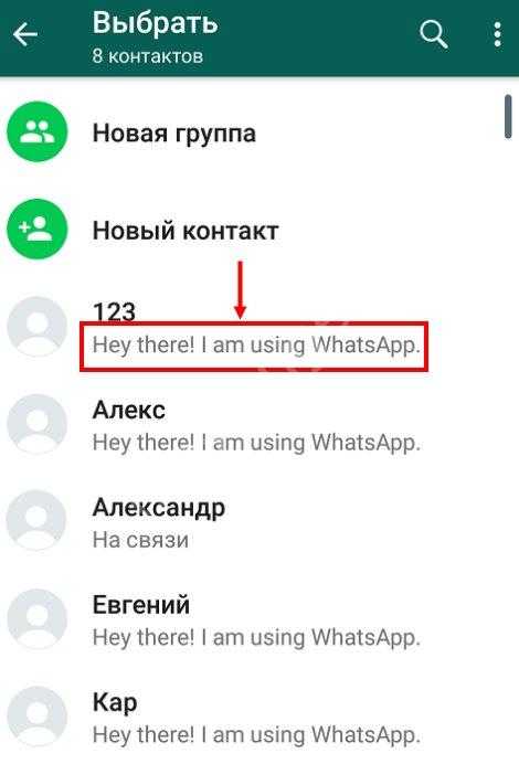 Whatsapp перевод с английского