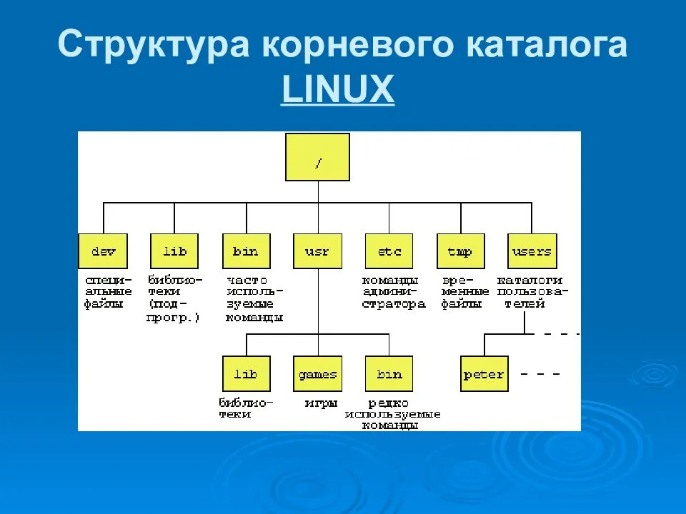 Корневой каталог находится. Файловая система Linux структура каталогов файловой системы. Структура каталогов ОС Linux. Иерархия файловой системы Linux. Структура каталога файловой системы Linux.