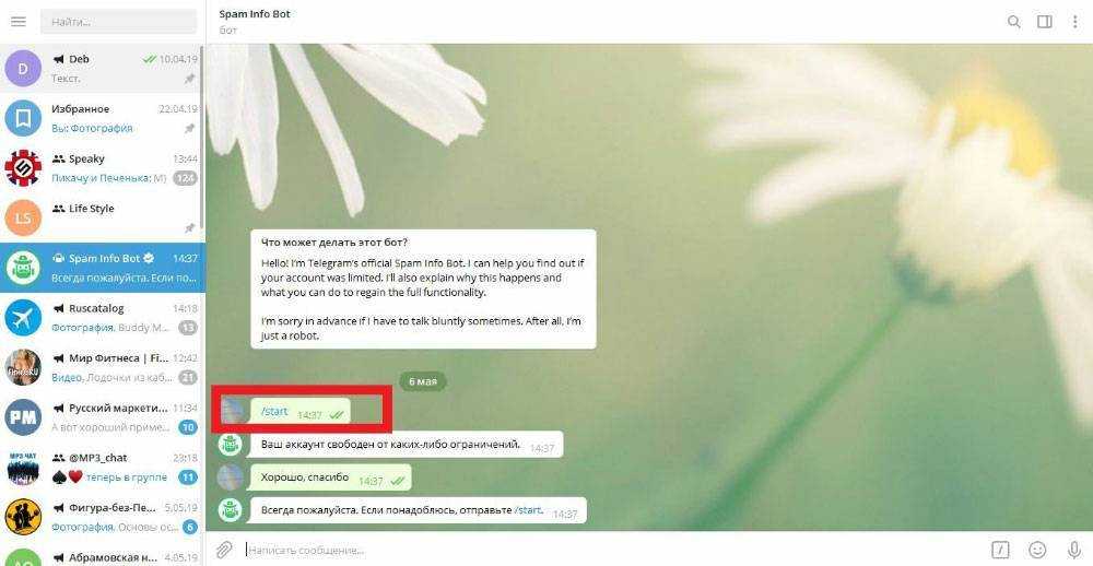 Секретные команды для яндекс алиса