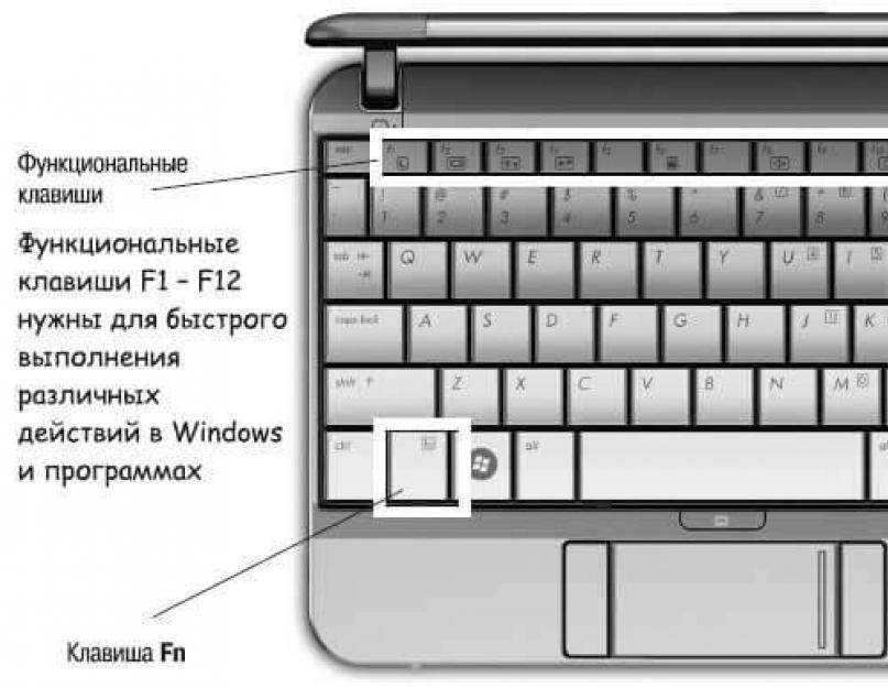 Где находится клавиша Fn на ноутбуке, за что она отвечает, как ее включить и почему клавиша Fn не работает Все это вы узнаете из данной статьи