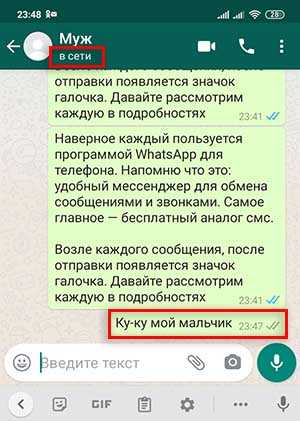 8 хитростей использования whatsapp, о которых не все знают