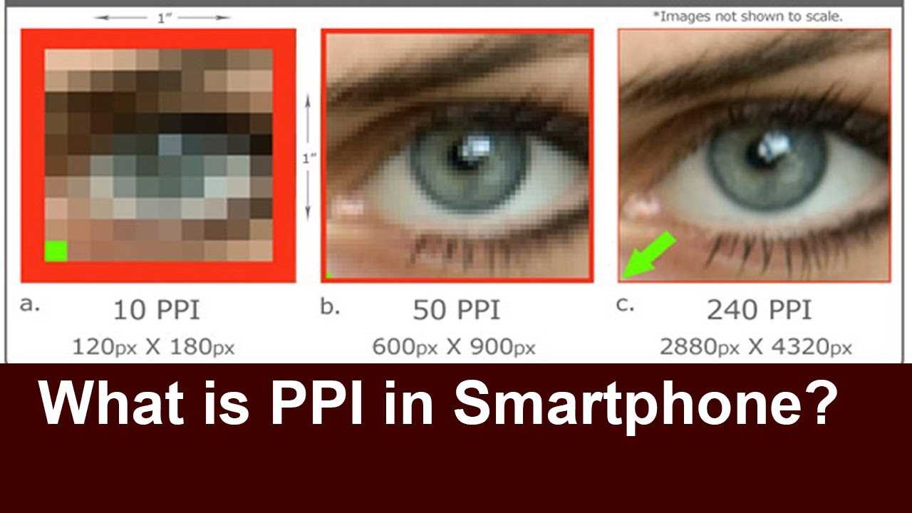 Dpi размер изображения. Число пикселей на дюйм. Число пикселей на дюйм (ppi). Разрешения изображений в пикселях. Разрешение изображений для фотографий.