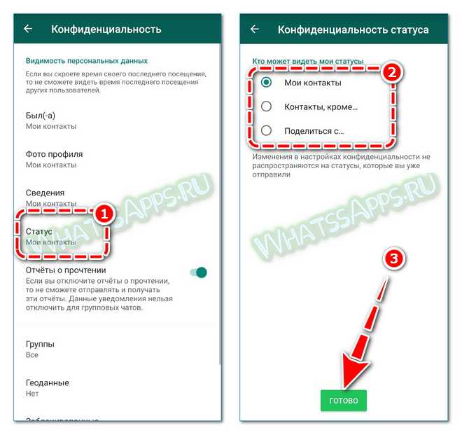 Видно ли ватсап. Как посмотреть статус в ватсапе. Как узнать кто смотрел статус в ватсапе. Кто может видеть статус в ватсапе. Как посмотреть кто просматривал статус в вацапе.